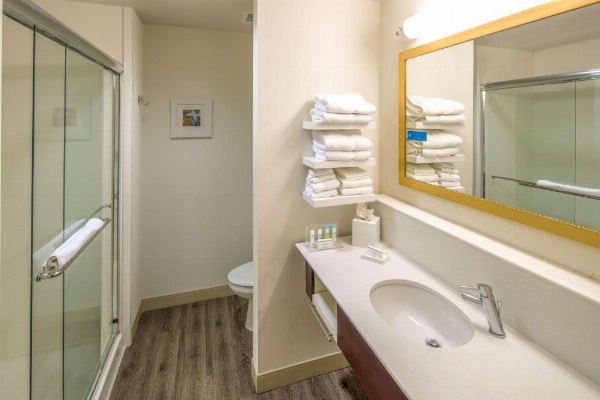 Hampton Inn Houston Downtown image 13