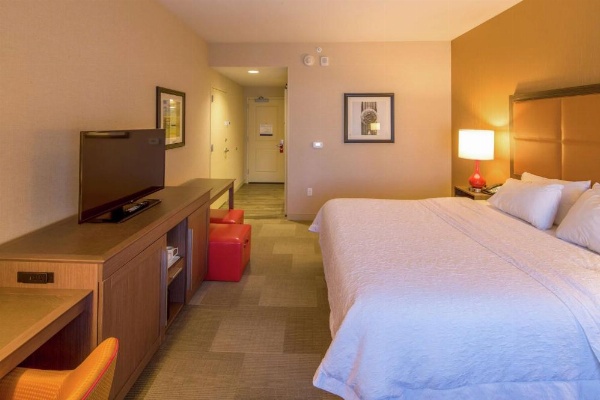 Hampton Inn Houston Downtown image 7